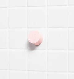 Magnetic Storage Hook E1