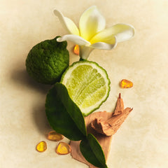Lotion and Mist Duo I2